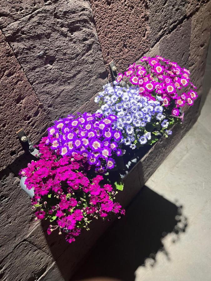 Street51 Pansiyon Erivan Dış mekan fotoğraf